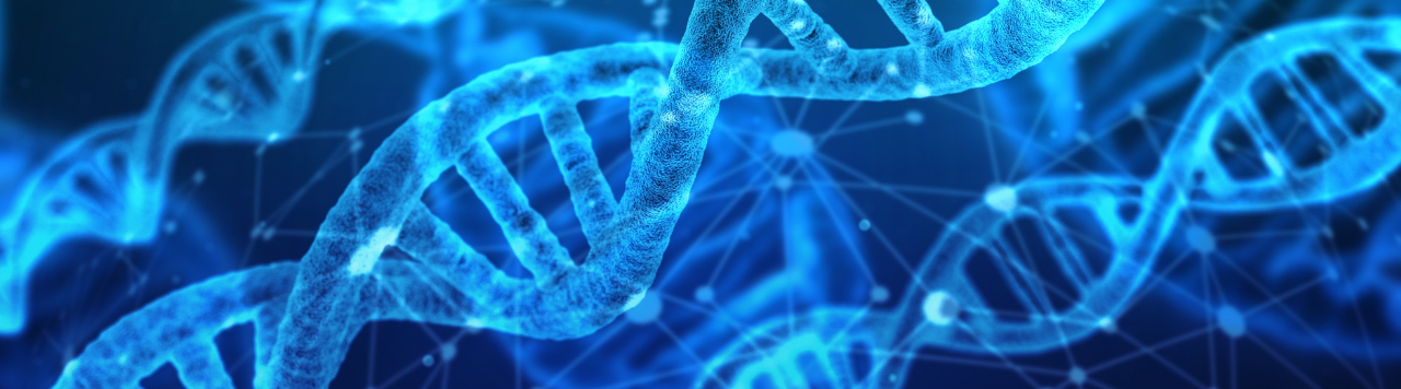 Blue DNA molecule strands.